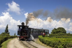 Pleasant Darjeeling