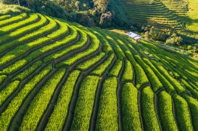 Darjeeling